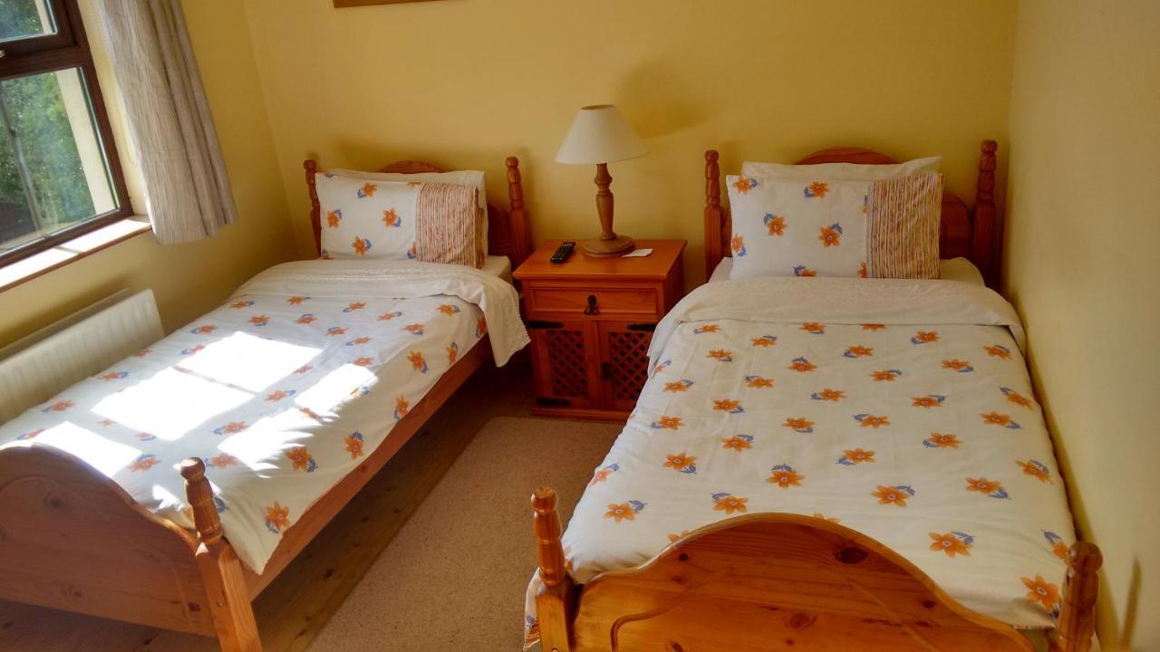 Grannagh Castle House Bed & Breakfast Waterford Luaran gambar