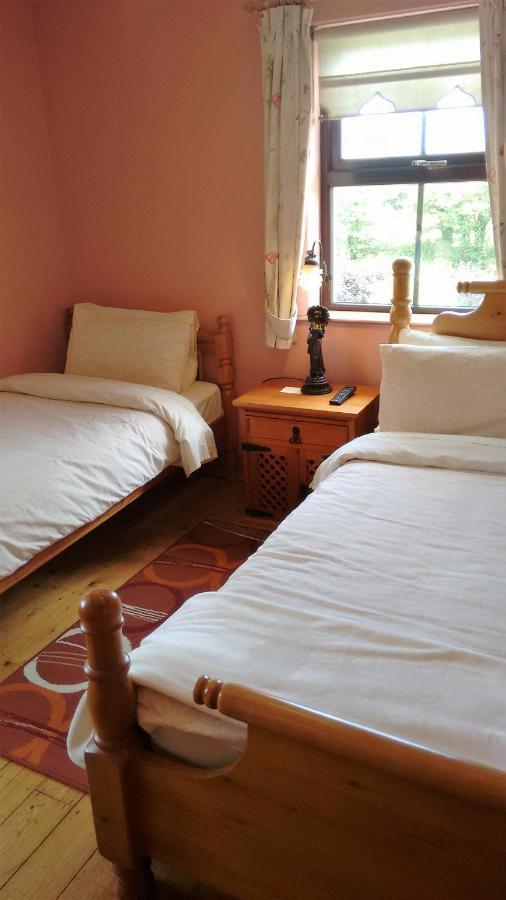 Grannagh Castle House Bed & Breakfast Waterford Luaran gambar