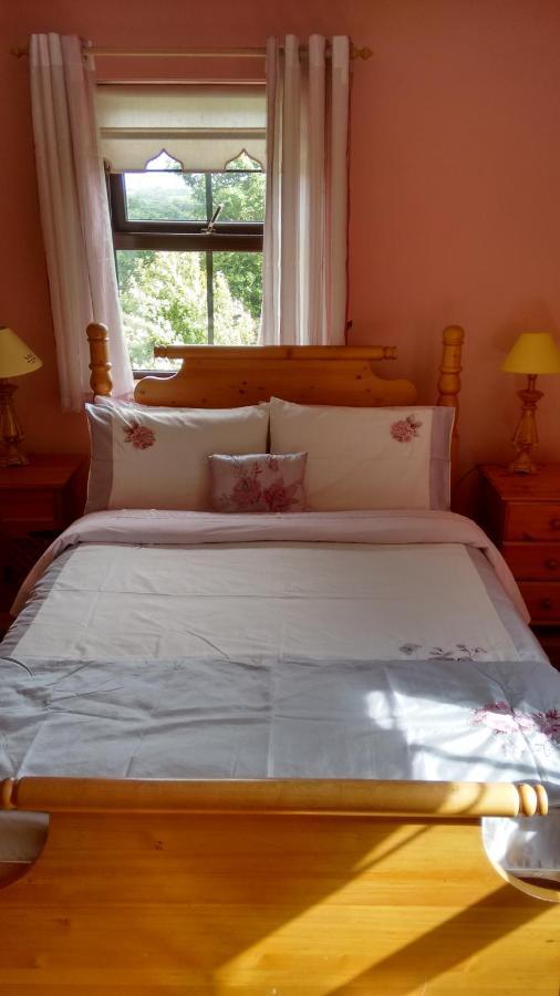 Grannagh Castle House Bed & Breakfast Waterford Luaran gambar