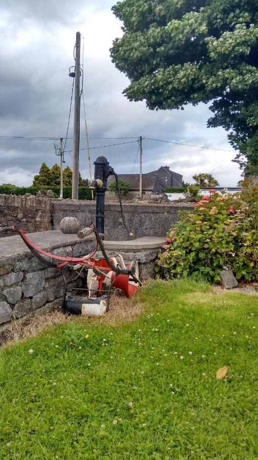 Grannagh Castle House Bed & Breakfast Waterford Luaran gambar