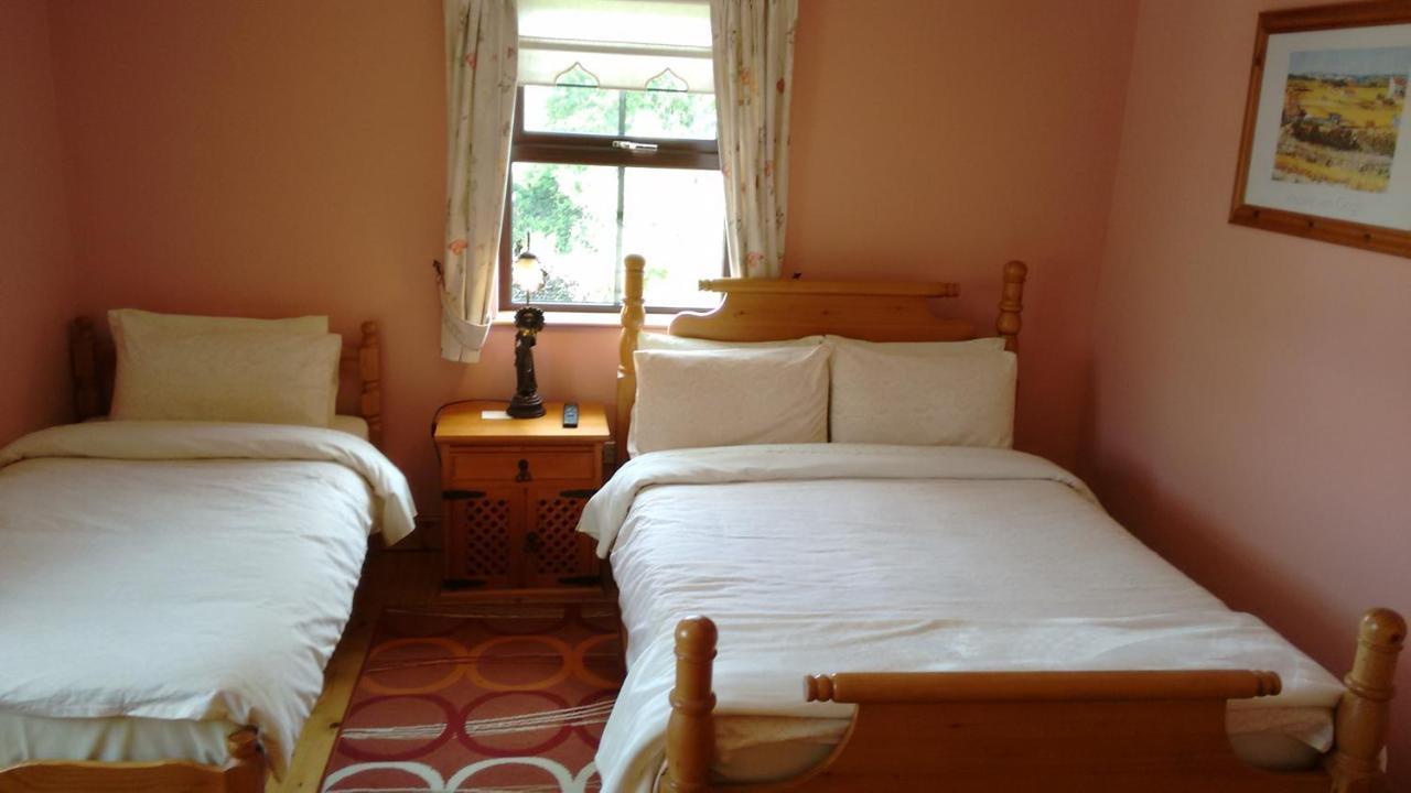 Grannagh Castle House Bed & Breakfast Waterford Luaran gambar